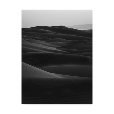 Design Fabrikken 'Black Dunes Fabrikken' Canvas Art,35x47